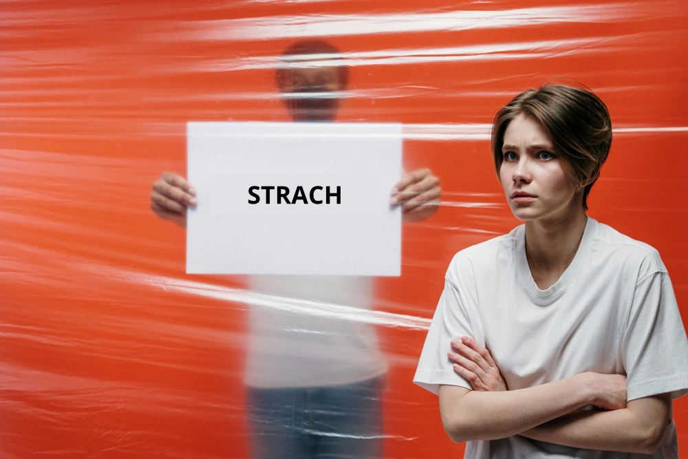 Read more about the article Strach! Jak przełamać się przed jego działaniem w biznesie online?